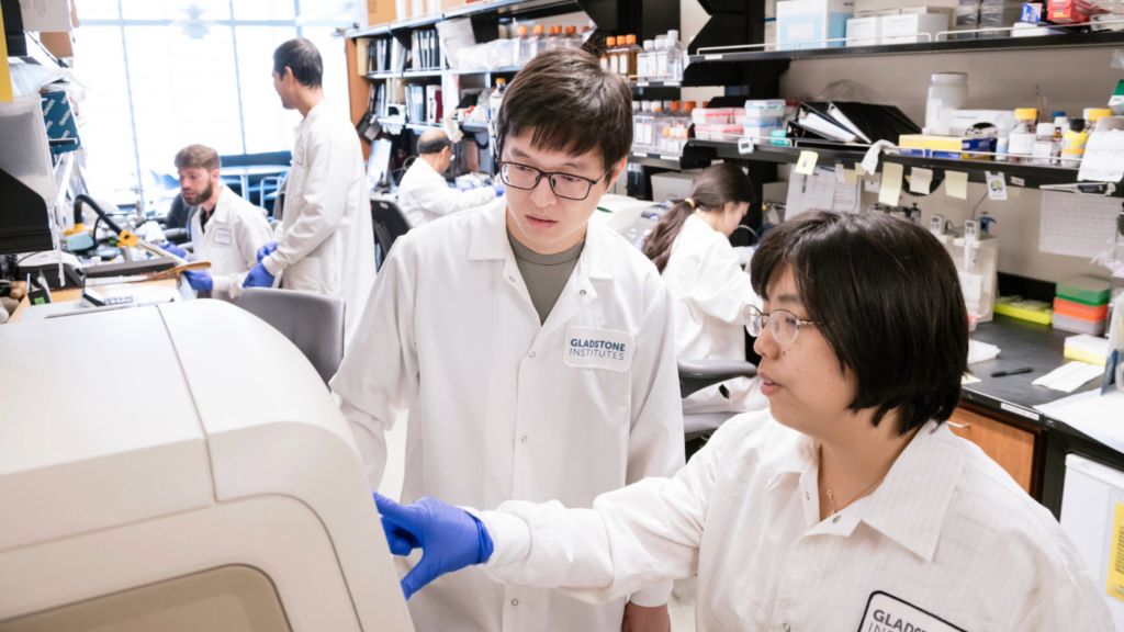 Fueling Discovery at the Frontiers of Neuroscience: The NOMIS-Gladstone Fellowship Program