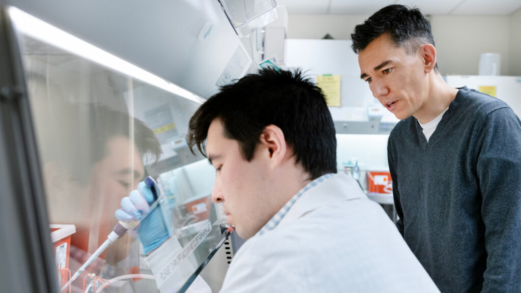 Cellular Clean Energy: Can Mitochondria Make More Energy Without Collateral Damage?