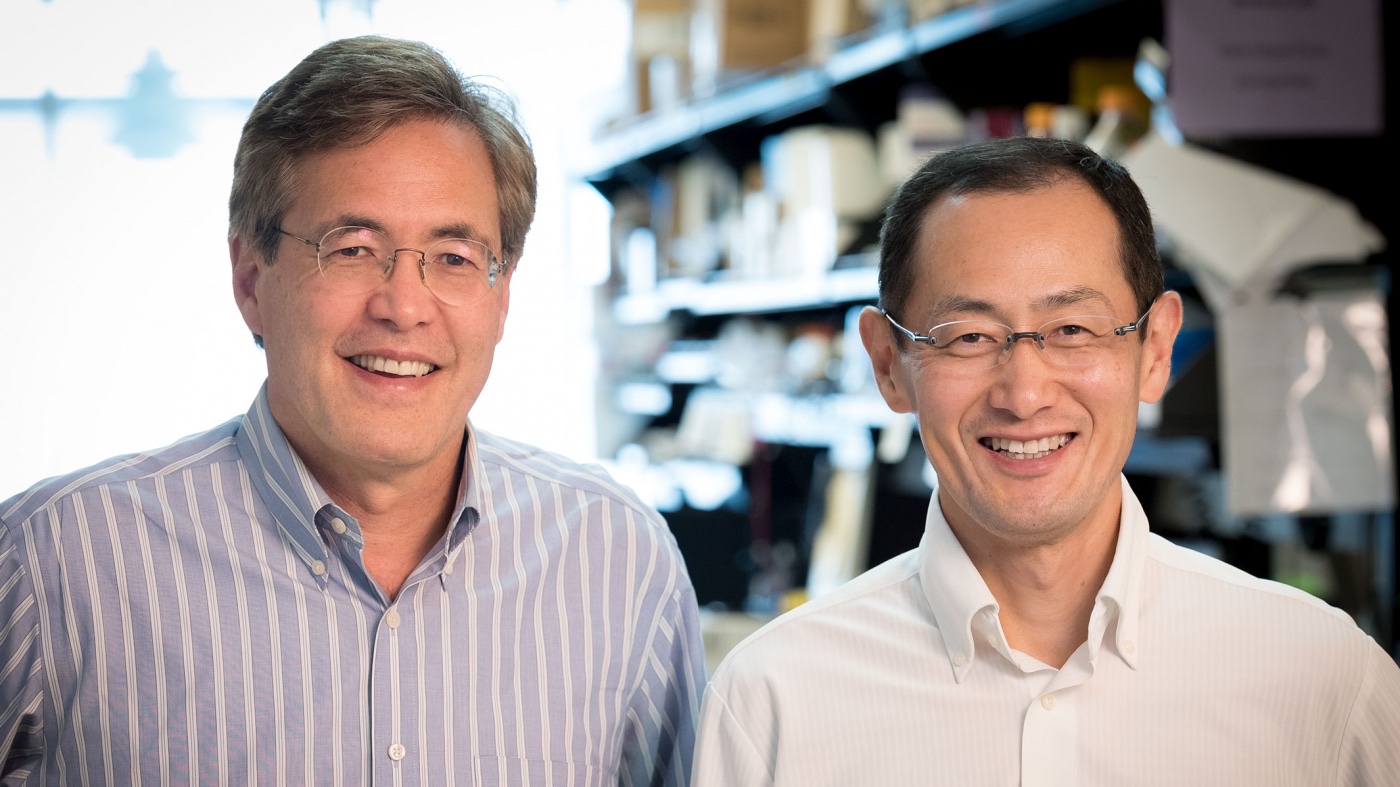 Bruce Conklin and Shinya Yamanaka