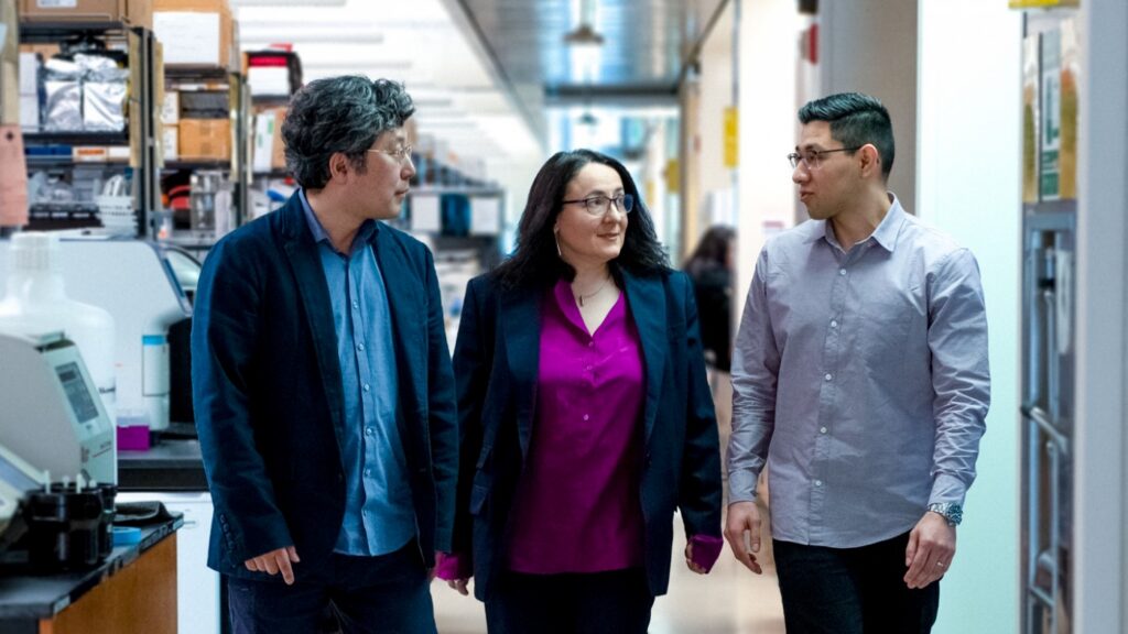 Toxic Cell Atlas Guides New Therapies for Neurodegeneration