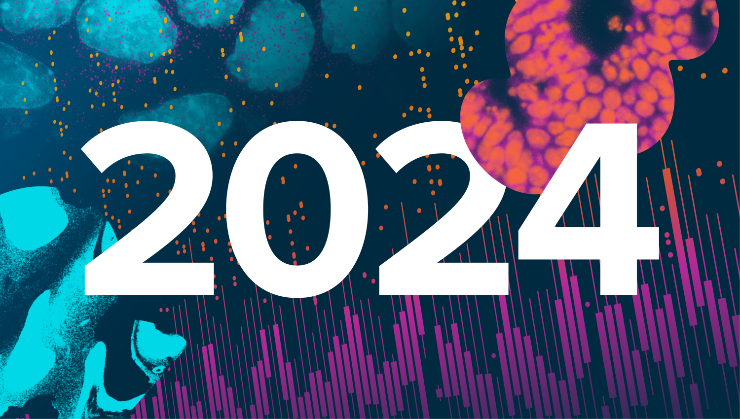 2024 Year in Review