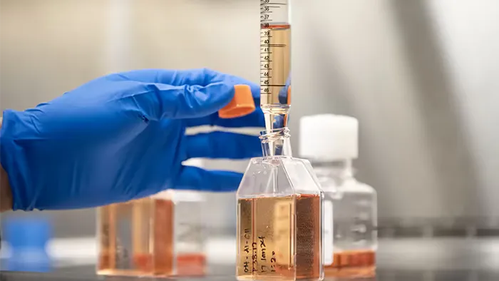 Gloved hand pouring liquid into a labeled lab flask