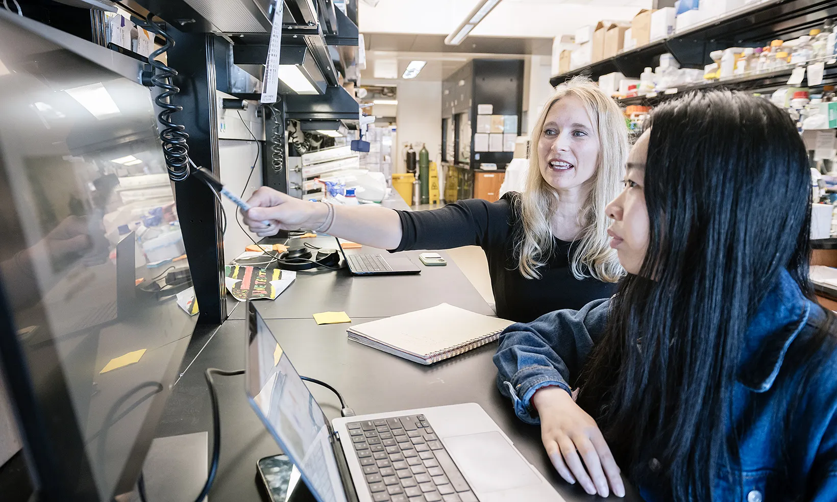 The Carnevale Lab is focused on reprogramming immune cells to use as cancer therapies.