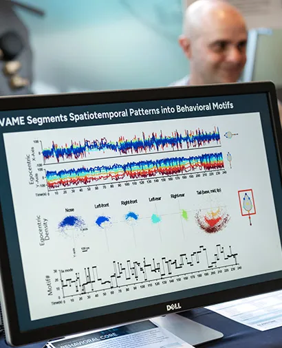 Data Analysis and Publication