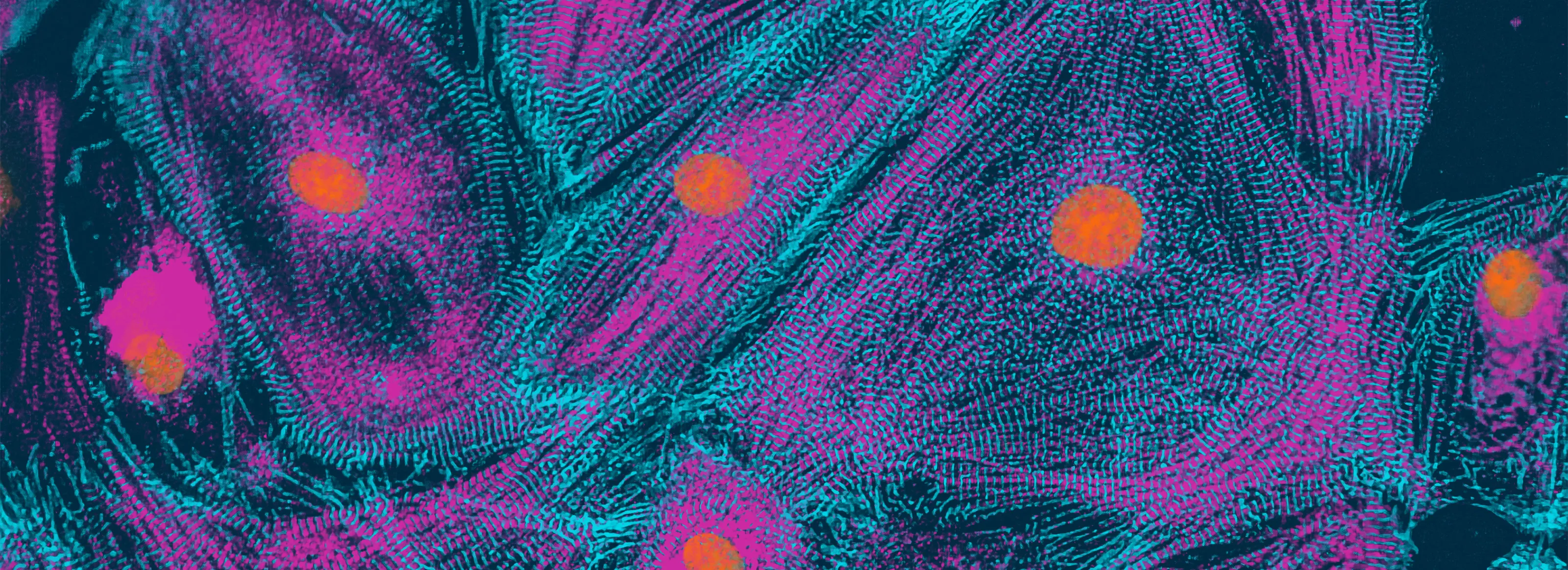 Disease Banner Image