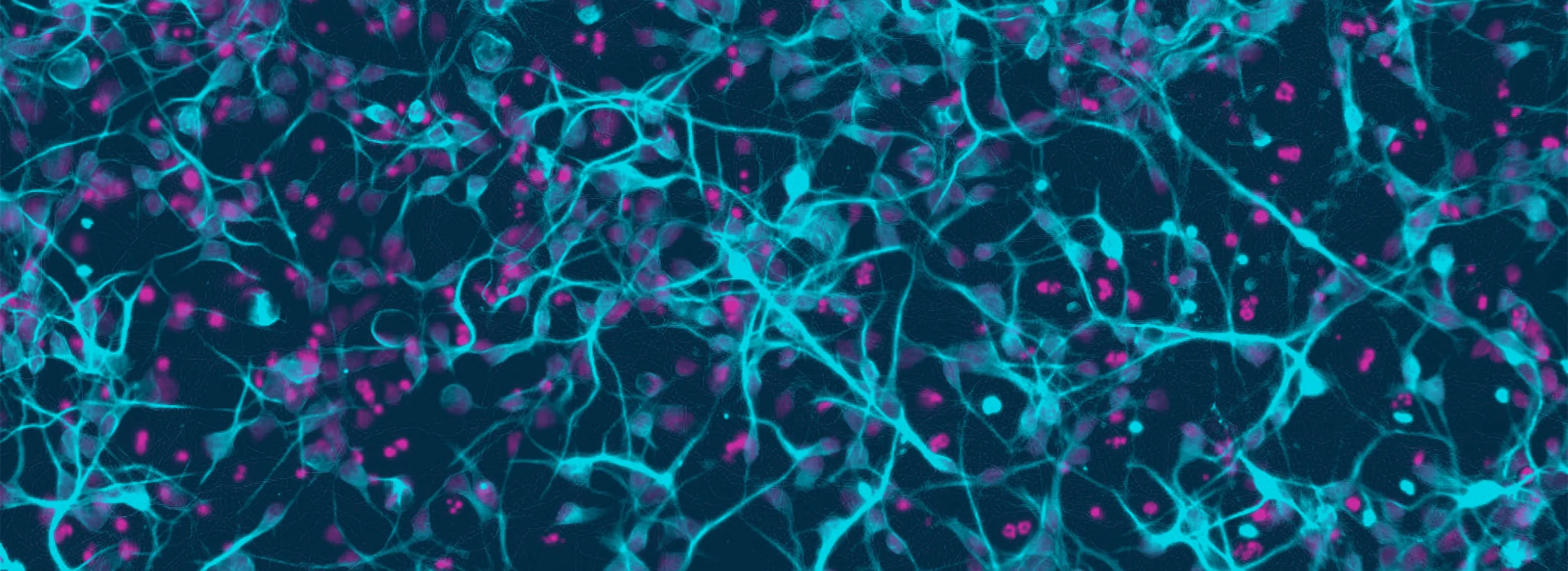 Disease Banner Image