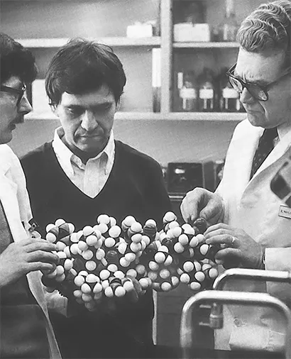 Described the Link Between Cholesterol and Heart Disease