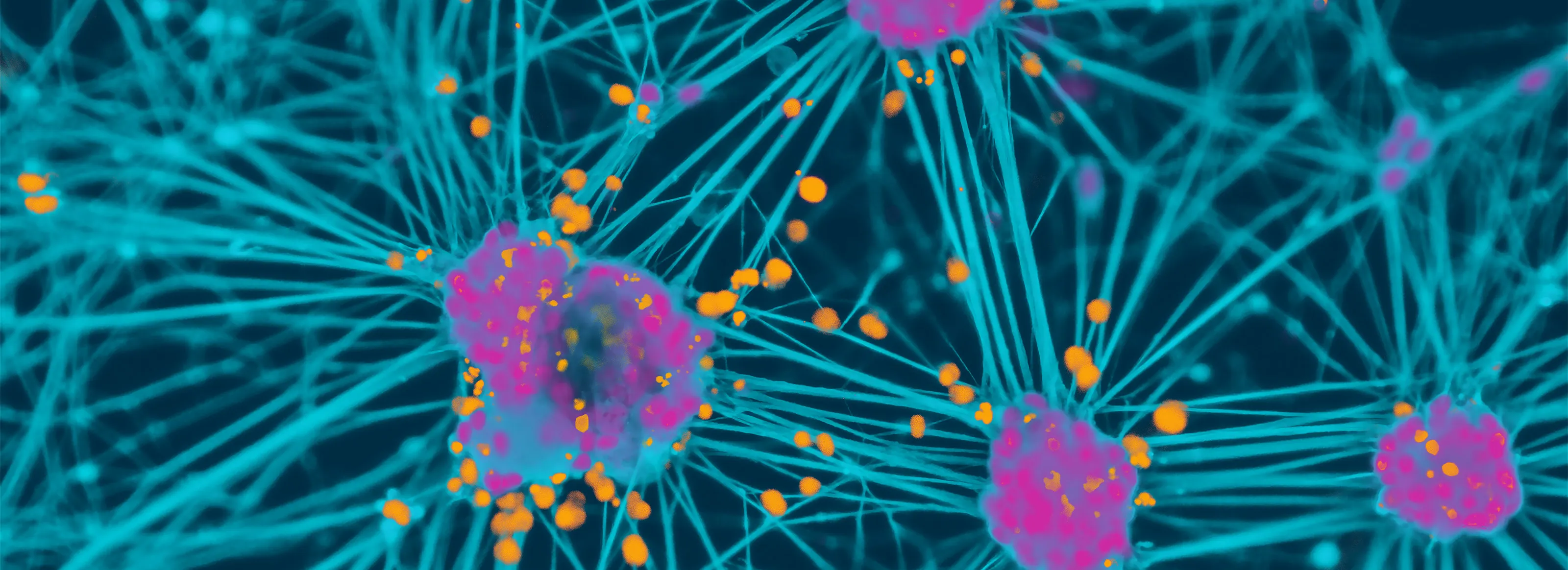 Disease Banner Image